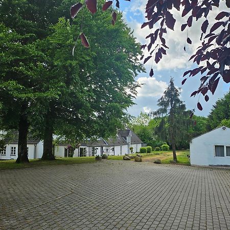Trandafir Guesthouse Egtved Kültér fotó