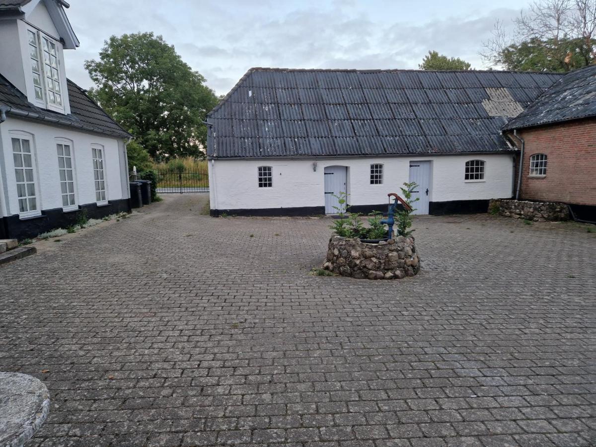 Trandafir Guesthouse Egtved Kültér fotó