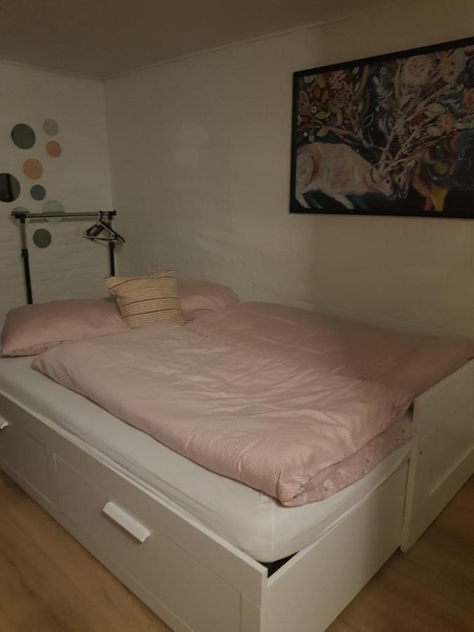 Trandafir Guesthouse Egtved Kültér fotó