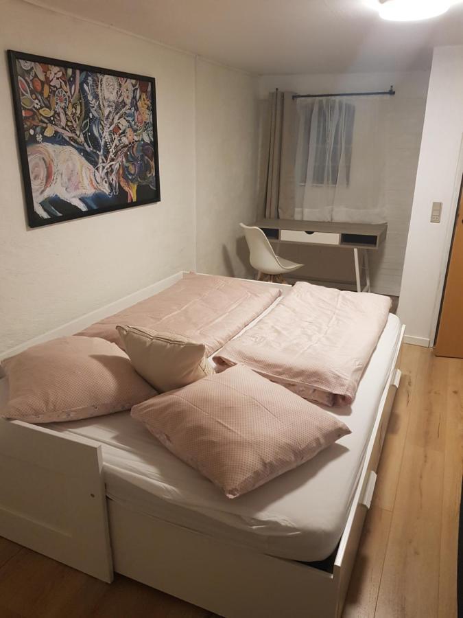 Trandafir Guesthouse Egtved Kültér fotó