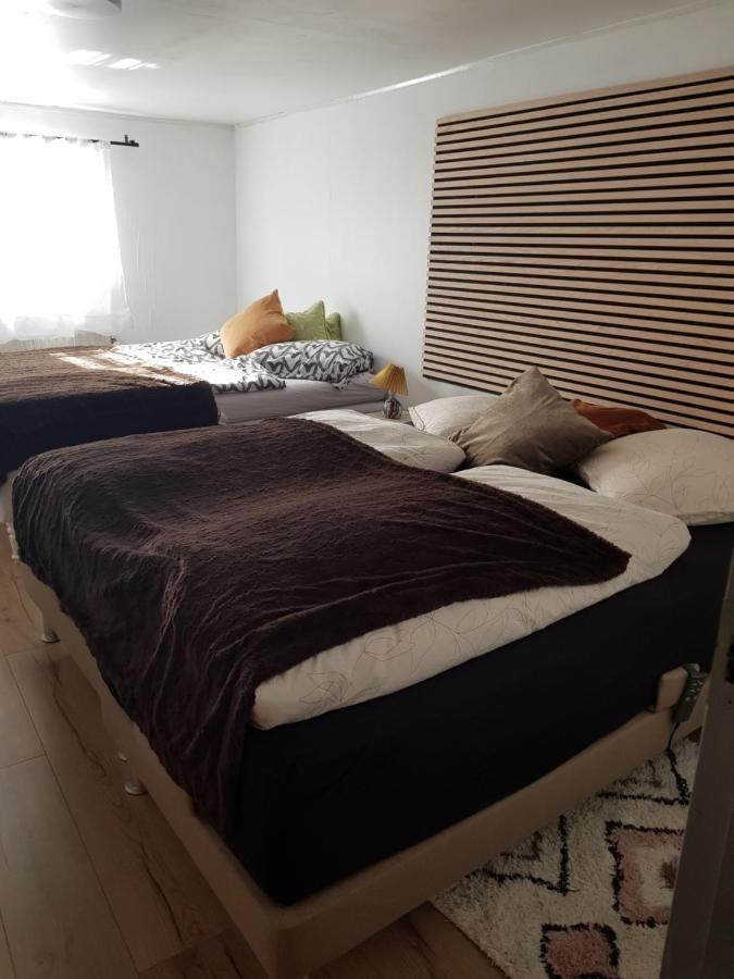 Trandafir Guesthouse Egtved Kültér fotó