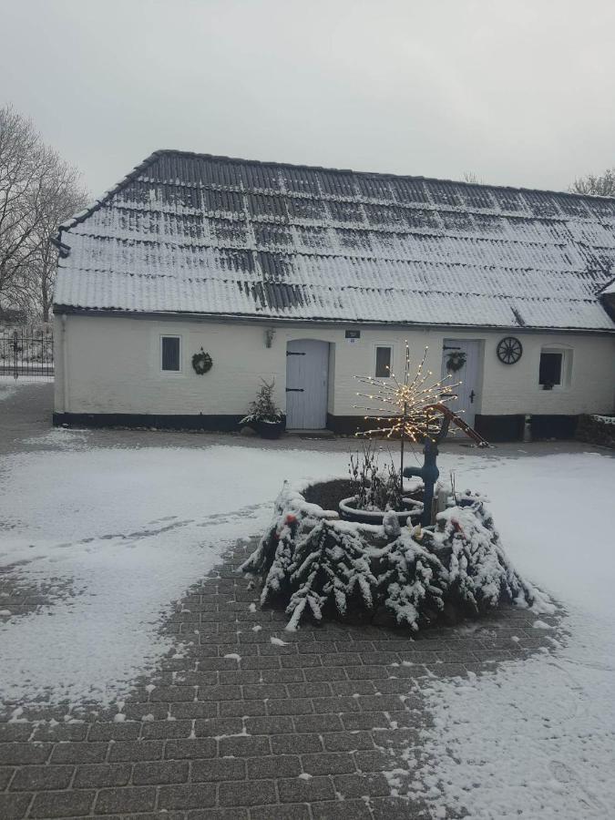 Trandafir Guesthouse Egtved Kültér fotó