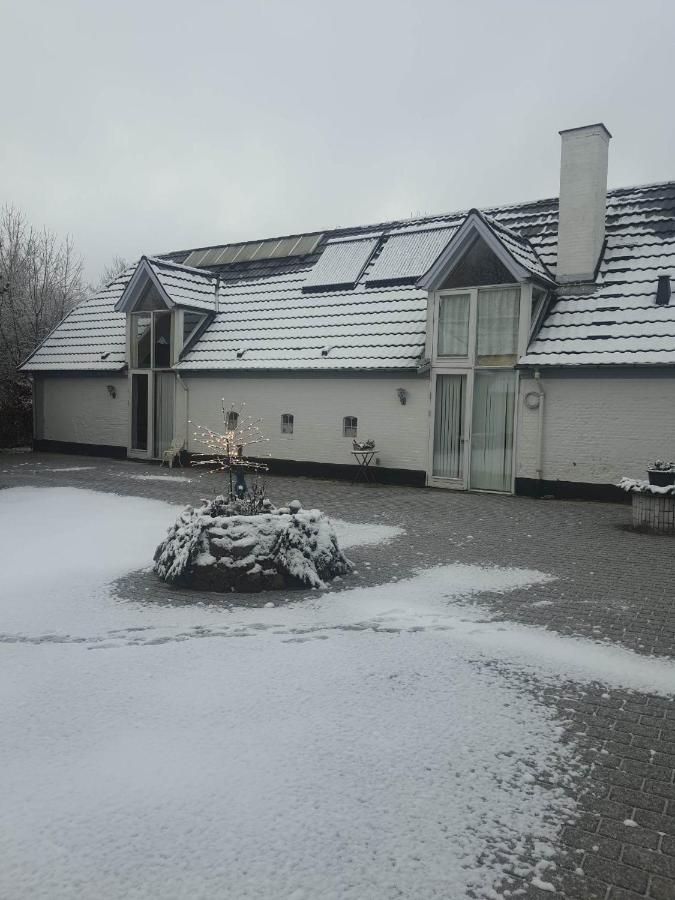 Trandafir Guesthouse Egtved Kültér fotó
