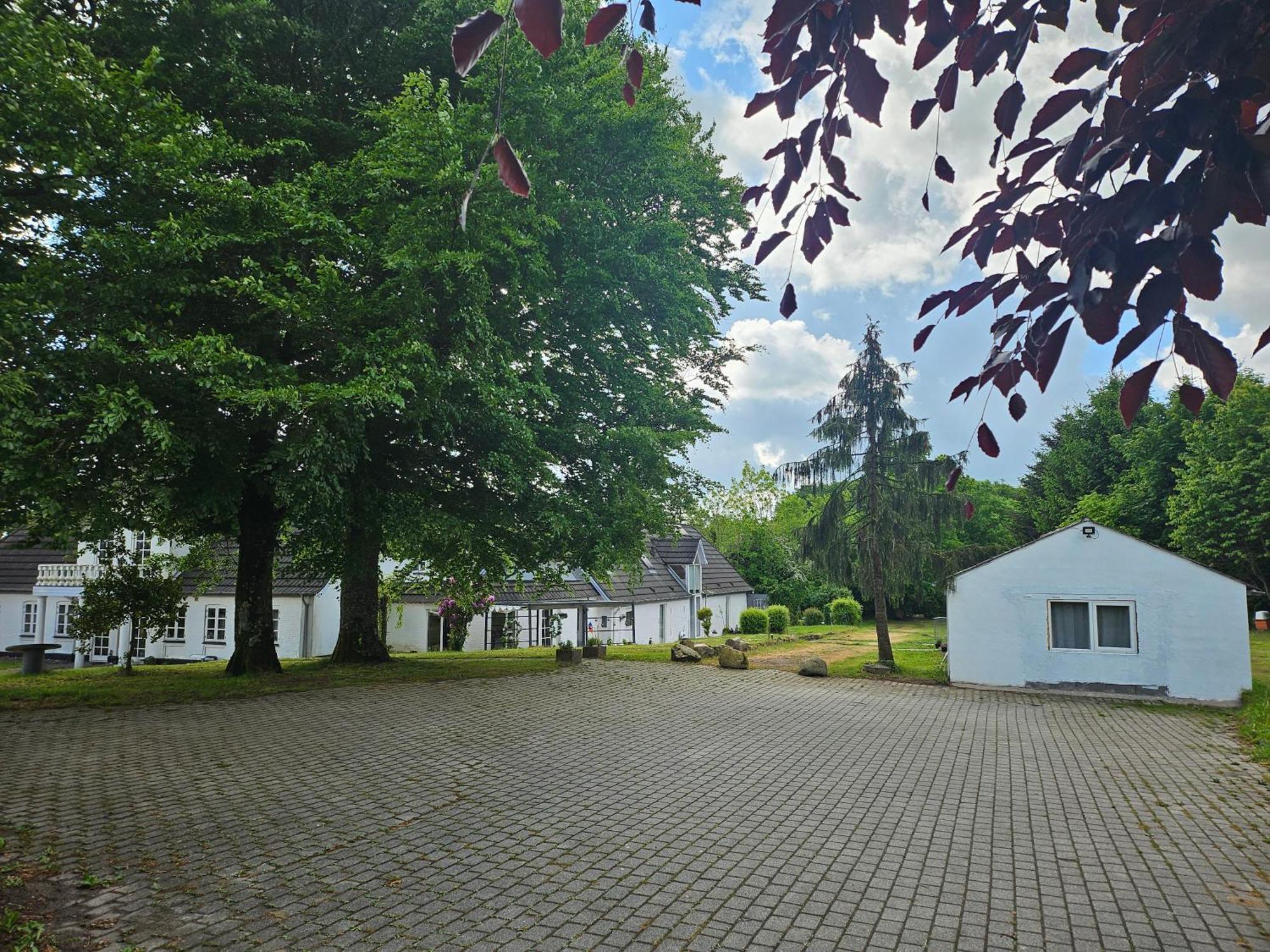 Trandafir Guesthouse Egtved Kültér fotó